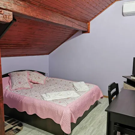 Casa Suzy & Roxy Apartment Arpasu de Jos Exterior photo